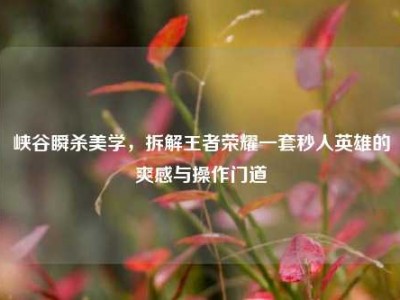 峡谷瞬杀美学，拆解王者荣耀一套秒人英雄的爽感与操作门道