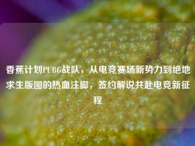 香蕉计划PUBG战队，从电竞赛场新势力到绝地求生版图的热血注脚，签约解说共赴电竞新征程