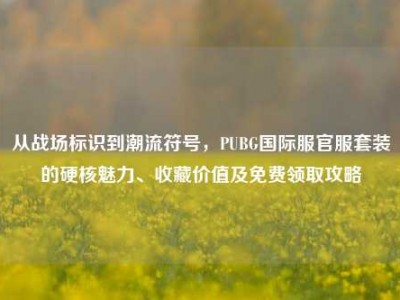 从战场标识到潮流符号，PUBG国际服官服套装的硬核魅力、收藏价值及免费领取攻略