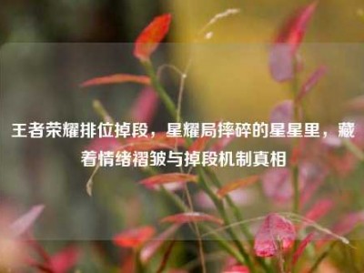王者荣耀排位掉段，星耀局摔碎的星星里，藏着情绪褶皱与掉段机制真相