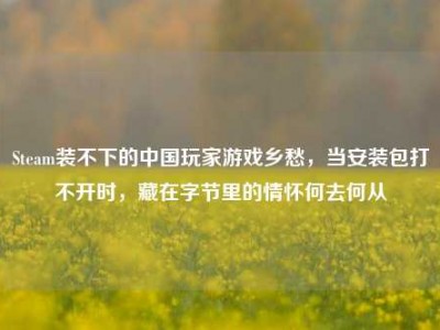 Steam装不下的中国玩家游戏乡愁，当安装包打不开时，藏在字节里的情怀何去何从