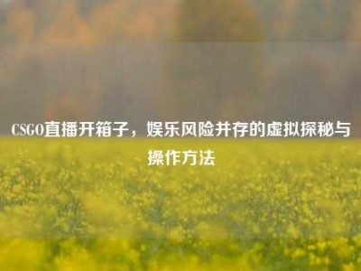 CSGO直播开箱子，娱乐风险并存的虚拟探秘与操作方法