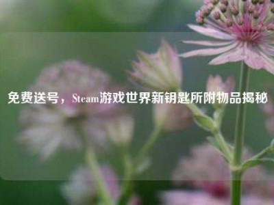 免费送号，Steam游戏世界新钥匙所附物品揭秘