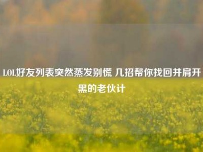 LOL好友列表突然蒸发别慌 几招帮你找回并肩开黑的老伙计