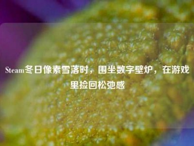 Steam冬日像素雪落时，围坐数字壁炉，在游戏里捡回松弛感