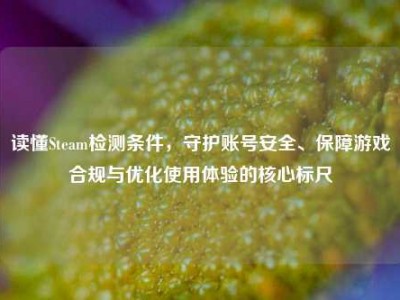读懂Steam检测条件，守护账号安全、保障游戏合规与优化使用体验的核心标尺
