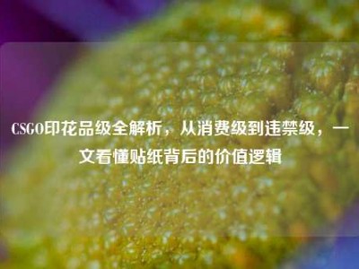CSGO印花品级全解析，从消费级到违禁级，一文看懂贴纸背后的价值逻辑