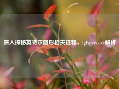 深入探秘英特尔图形相关进程，igfxpers.exe解析
