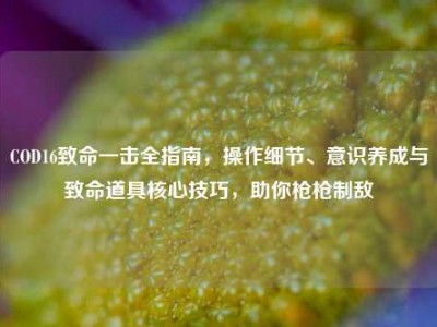 COD16致命一击全指南，操作细节、意识养成与致命道具核心技巧，助你枪枪制敌