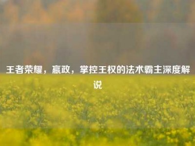王者荣耀，嬴政，掌控王权的法术霸主深度解说
