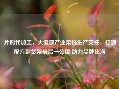 片剂代加工，大健康产业柔性生产支柱，打通配方到货架最后一公里 助力品牌出海
