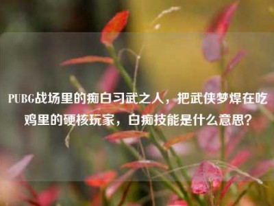 PUBG战场里的痴白习武之人，把武侠梦焊在吃鸡里的硬核玩家，白痴技能是什么意思？
