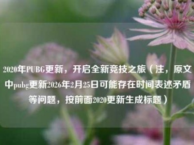 2020年PUBG更新，开启全新竞技之旅（注，原文中pubg更新2026年2月25日可能存在时间表述矛盾等问题，按前面2020更新生成标题）