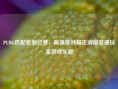 PUBG匹配机制过卷，高强度对局正消磨普通玩家游戏乐趣