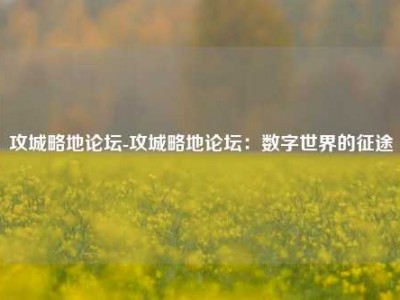 攻城略地论坛-攻城略地论坛：数字世界的征途