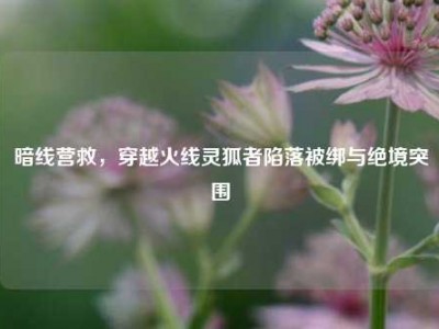 暗线营救，穿越火线灵狐者陷落被绑与绝境突围