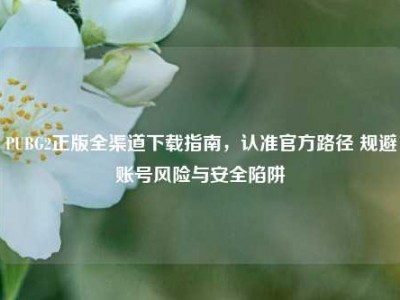 PUBG2正版全渠道下载指南，认准官方路径 规避账号风险与安全陷阱