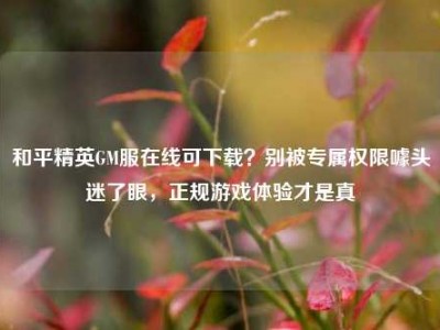 和平精英GM服在线可下载？别被专属权限噱头迷了眼，正规游戏体验才是真