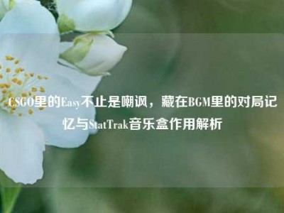 CSGO里的Easy不止是嘲讽，藏在BGM里的对局记忆与StatTrak音乐盒作用解析