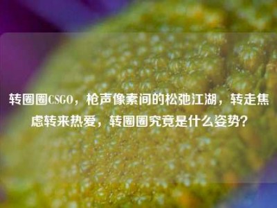 转圈圈CSGO，枪声像素间的松弛江湖，转走焦虑转来热爱，转圈圈究竟是什么姿势？