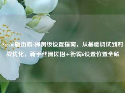 Steam版街霸5保姆级设置指南，从基础调试到对战优化，新手丝滑搓招+街霸6设置位置全解