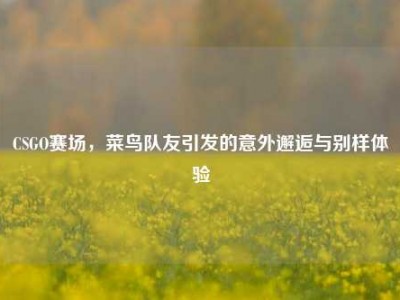 CSGO赛场，菜鸟队友引发的意外邂逅与别样体验