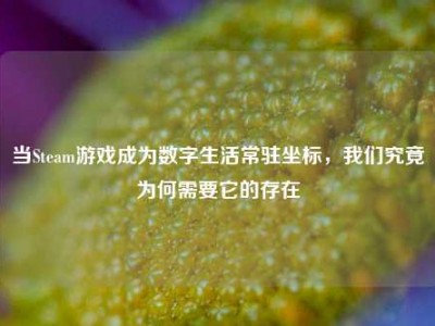 当Steam游戏成为数字生活常驻坐标，我们究竟为何需要它的存在