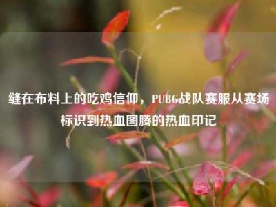 缝在布料上的吃鸡信仰，PUBG战队赛服从赛场标识到热血图腾的热血印记