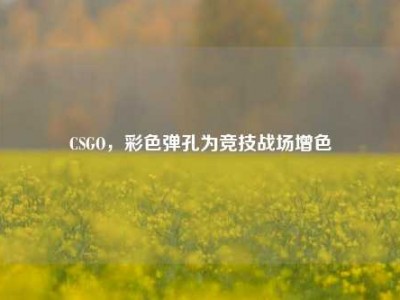 CSGO，彩色弹孔为竞技战场增色