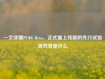一文读懂PUBG Beta，正式服上线前的先行试验场究竟是什么