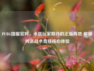 PUBG国服官网，承载玩家期待的正版阵地 解锁纯正战术竞技核心体验
