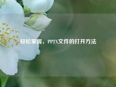 轻松掌握，PPTX文件的打开方法