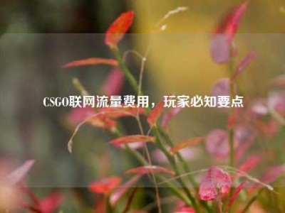 CSGO联网流量费用，玩家必知要点