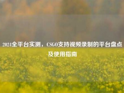 2024全平台实测，CSGO支持视频录制的平台盘点及使用指南