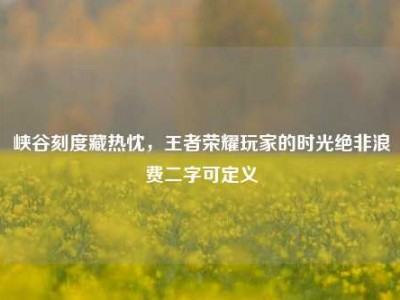 峡谷刻度藏热忱，王者荣耀玩家的时光绝非浪费二字可定义