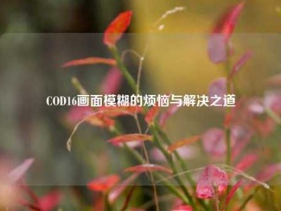 COD16画面模糊的烦恼与解决之道