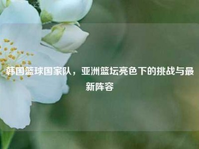 韩国篮球国家队，亚洲篮坛亮色下的挑战与最新阵容