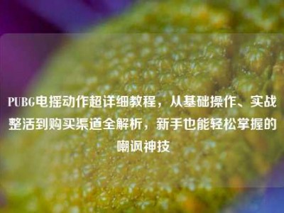 PUBG电摇动作超详细教程，从基础操作、实战整活到购买渠道全解析，新手也能轻松掌握的嘲讽神技