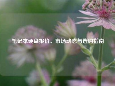 笔记本硬盘报价、市场动态与选购指南