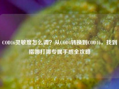 COD16灵敏度怎么调？从COD4转换到COD16，找到指哪打哪专属手感全攻略