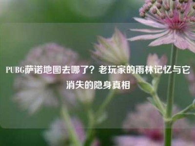 PUBG萨诺地图去哪了？老玩家的雨林记忆与它消失的隐身真相