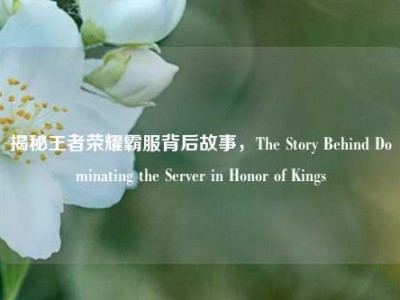 揭秘王者荣耀霸服背后故事，The Story Behind Dominating the Server in Honor of Kings