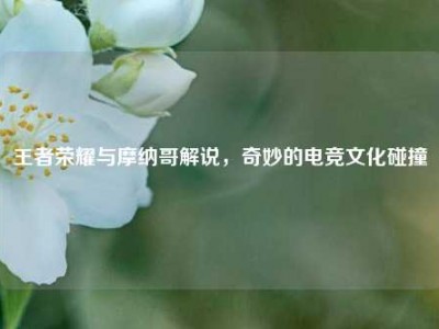王者荣耀与摩纳哥解说，奇妙的电竞文化碰撞