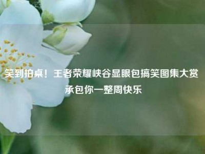 笑到拍桌！王者荣耀峡谷显眼包搞笑图集大赏 承包你一整周快乐