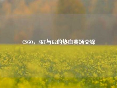 CSGO，SKT与G2的热血赛场交锋