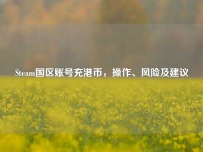 Steam国区账号充港币，操作、风险及建议