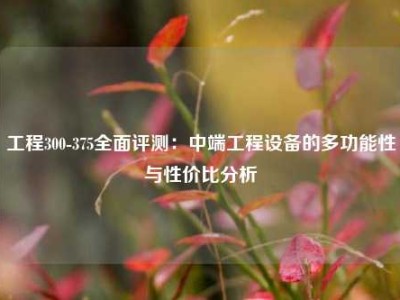 工程300-375全面评测：中端工程设备的多功能性与性价比分析