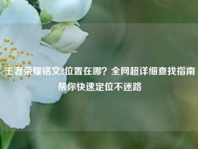 王者荣耀铭文2位置在哪？全网超详细查找指南帮你快速定位不迷路