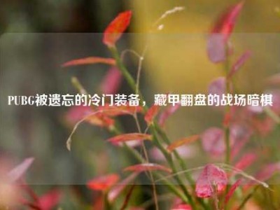 PUBG被遗忘的冷门装备，藏甲翻盘的战场暗棋