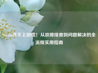 Steam连不上别慌！从故障排查到问题解决的全流程实用指南